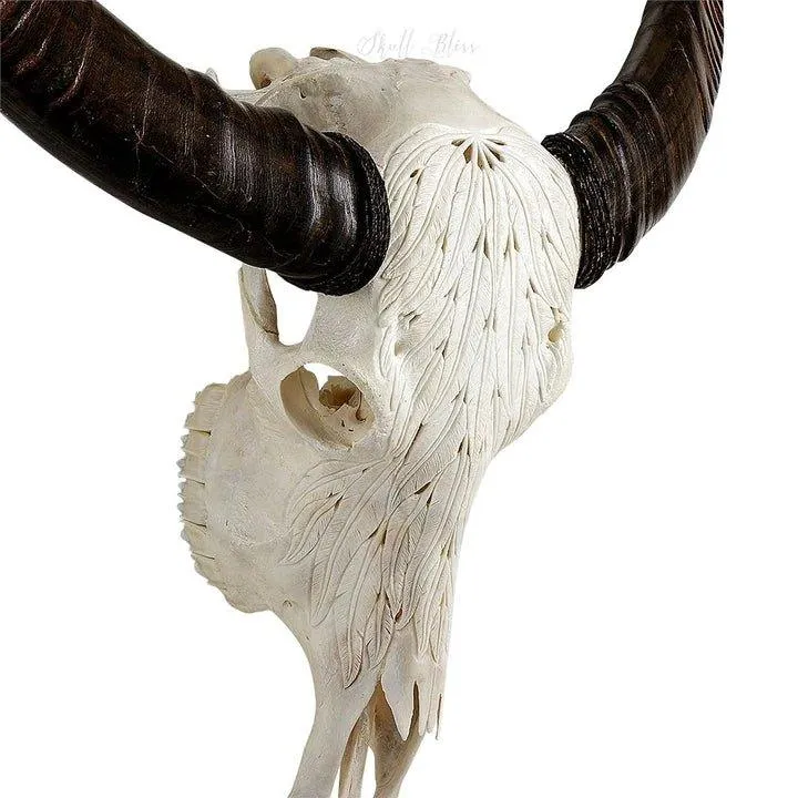 Buffalo Feathers Carved Skull - 2 Colors