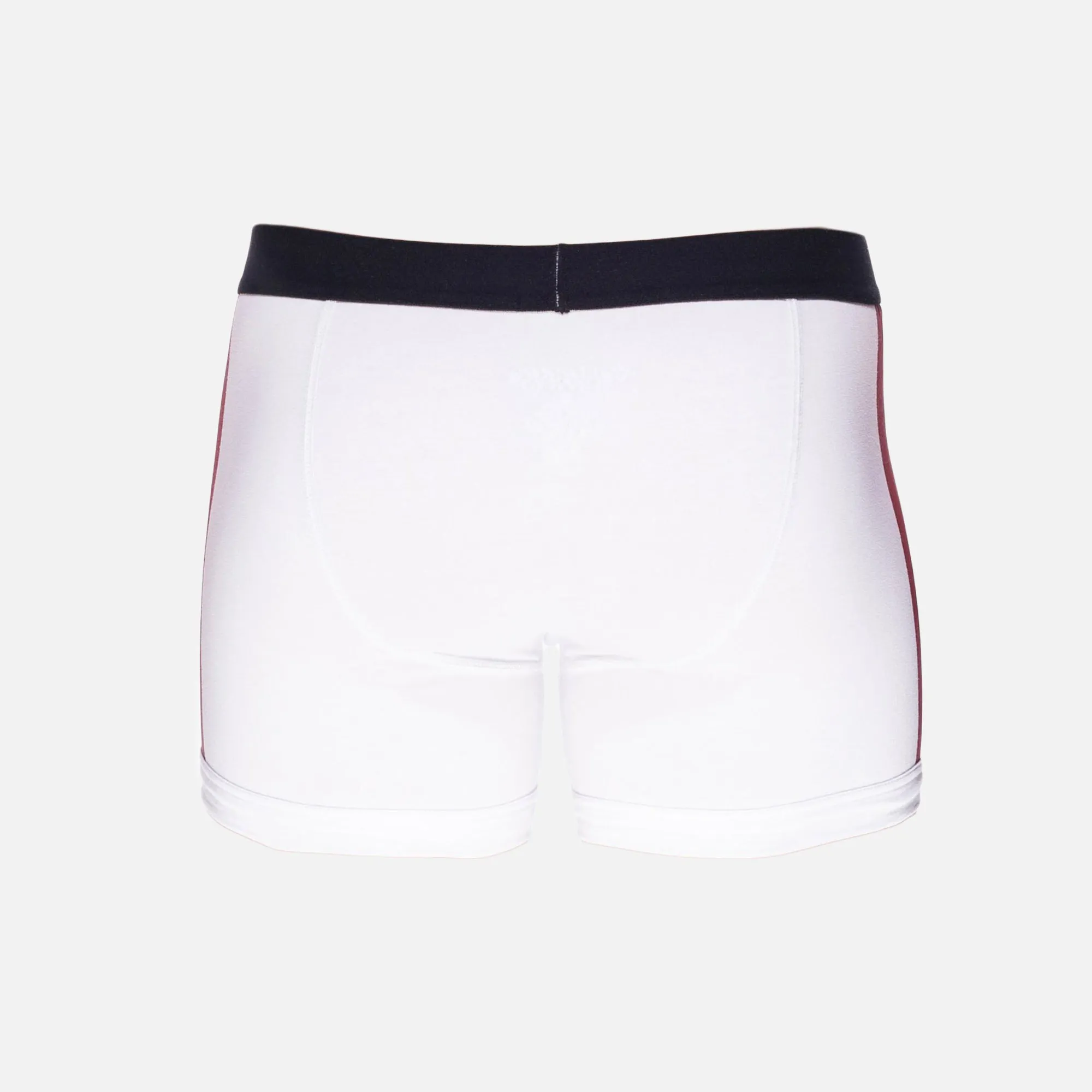 THE CLAY BRIEF